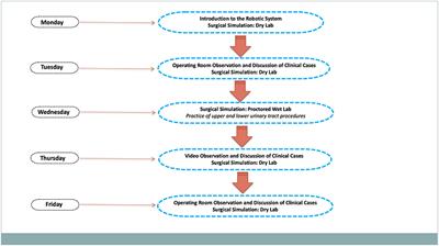 Impact and Outcomes of a Pediatric Robotic Urology Mini-Fellowship